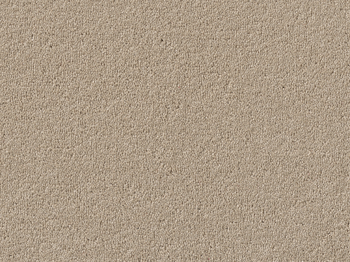 PICASSO 4M & 5M SERENE ONLY – COMBI carpet - 450 Sand