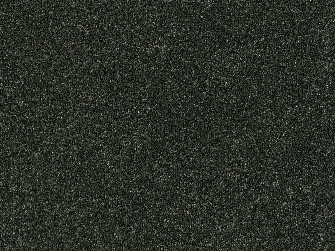 PICASSO 4M & 5M SERENE ONLY – COMBI carpet - 591 Shamrock