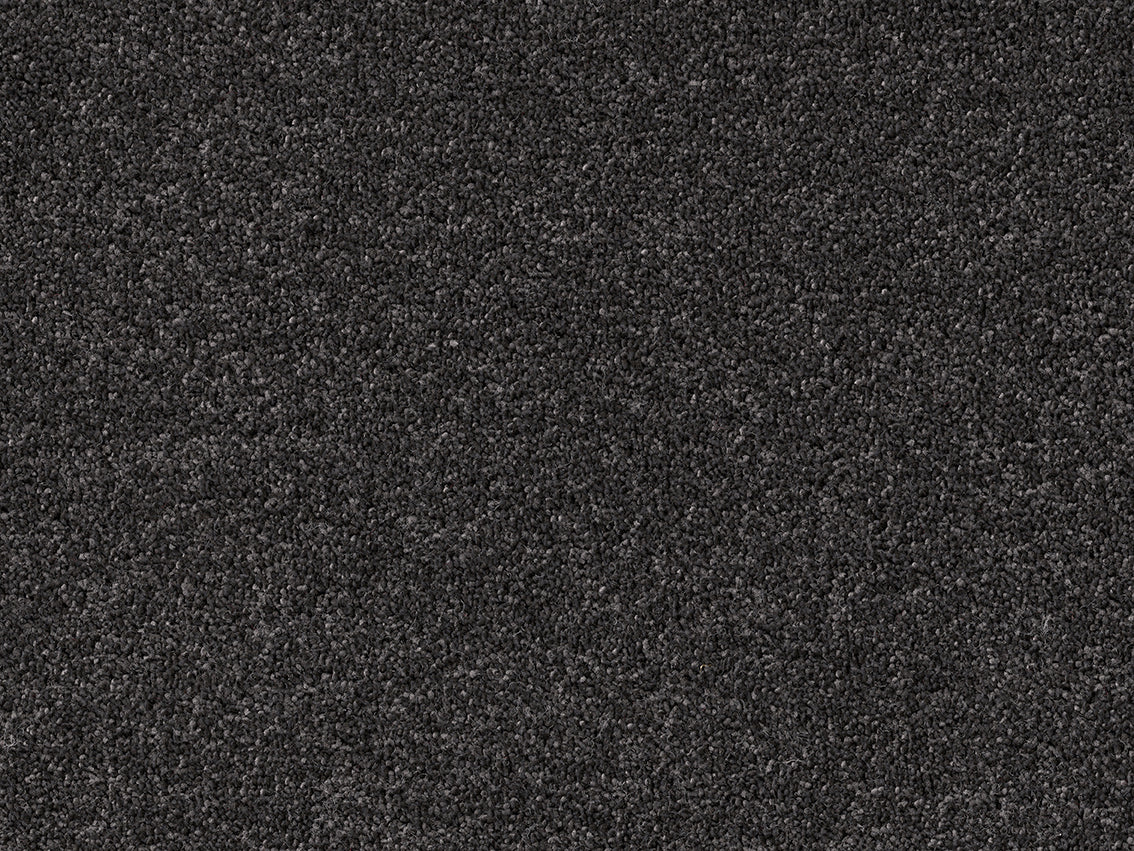 PICASSO 4M & 5M SERENE ONLY – COMBI carpet - 805 Cavier