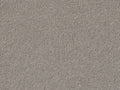 PICASSO 4M & 5M SERENE ONLY – COMBI carpet - 862 Paloma