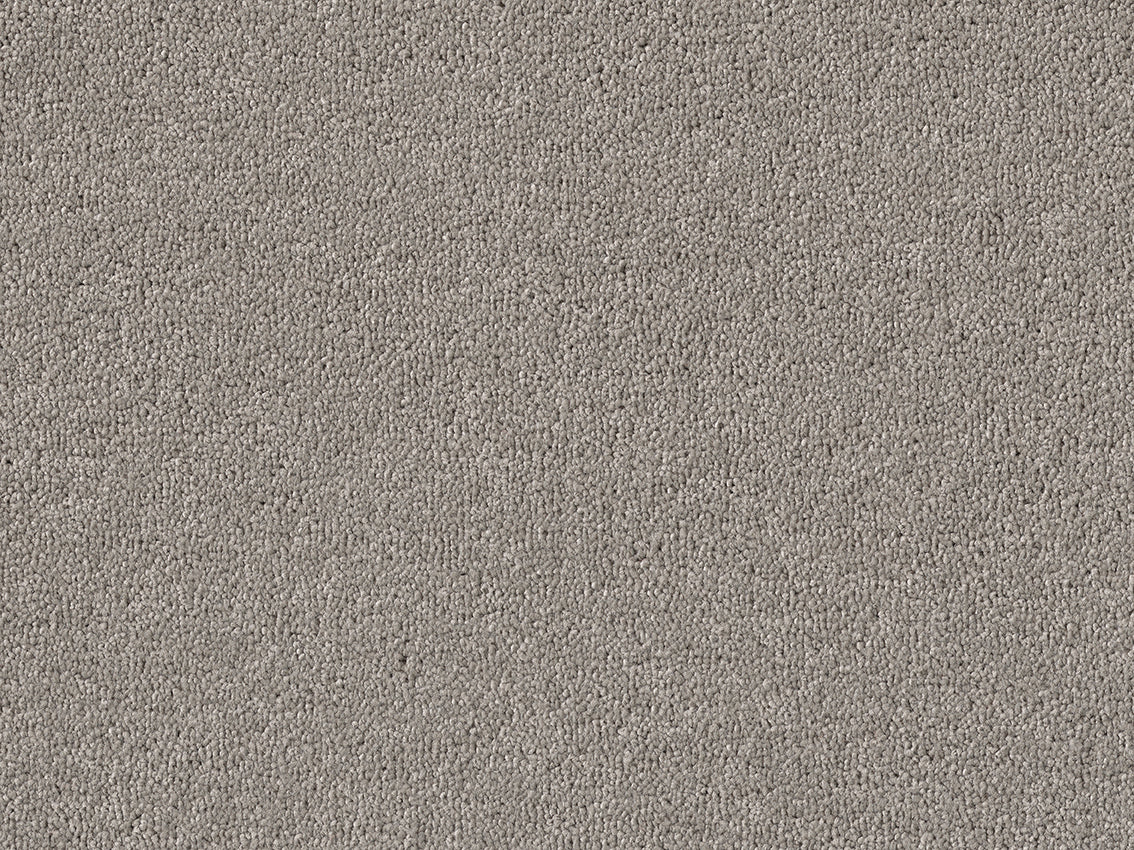 PICASSO 4M & 5M SERENE ONLY – COMBI carpet - 862 Paloma