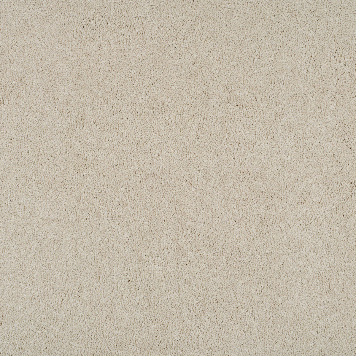 MAGICAL FEELING (4m,5m) carpet - 605 Arcade White
