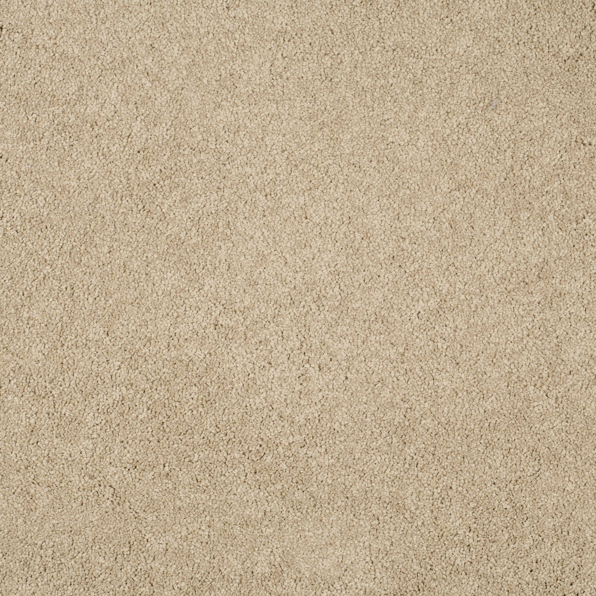 MAGICAL FEELING (4m,5m) carpet - 620 Ibis White