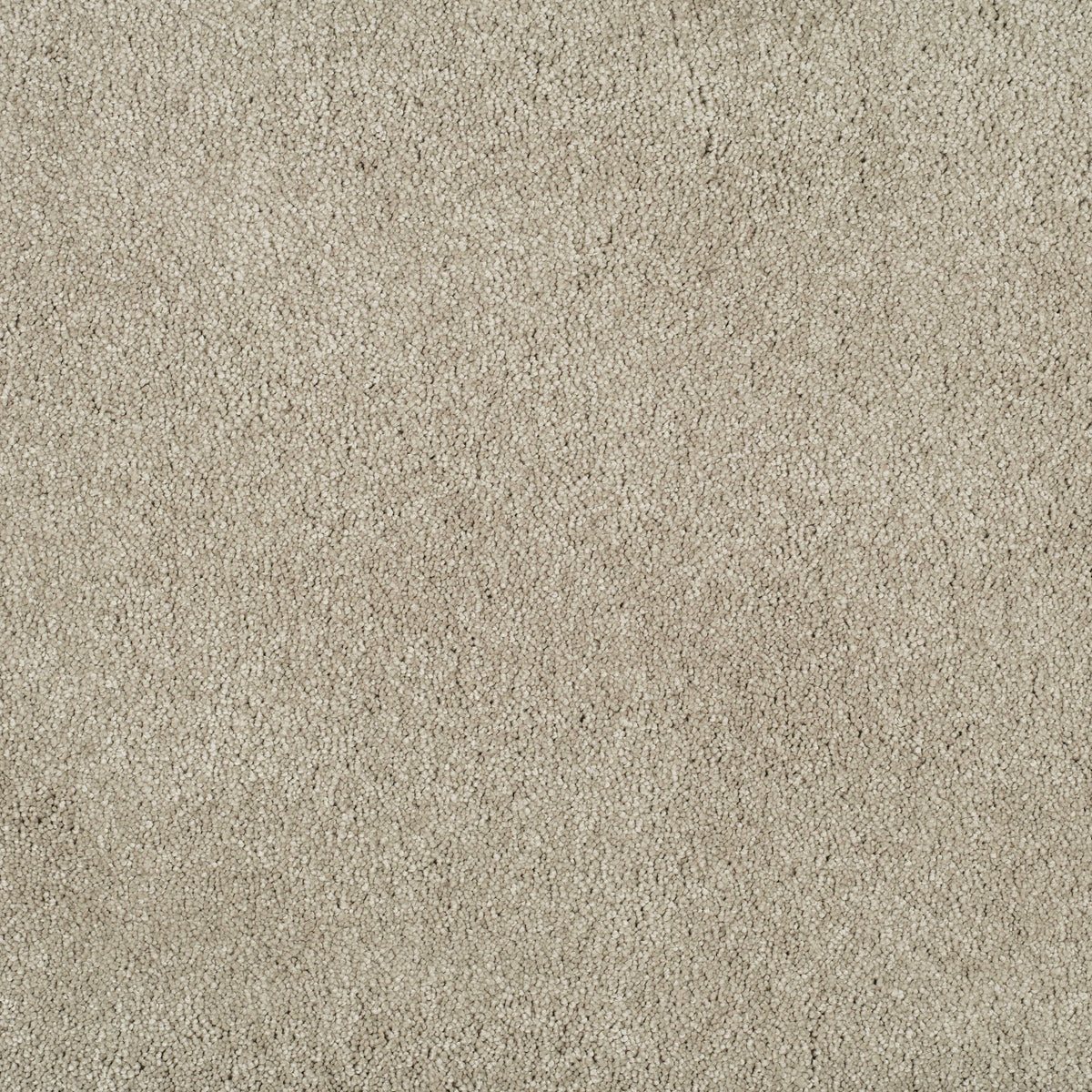 MAGICAL FEELING (4m,5m) carpet - 640 Delicate White
