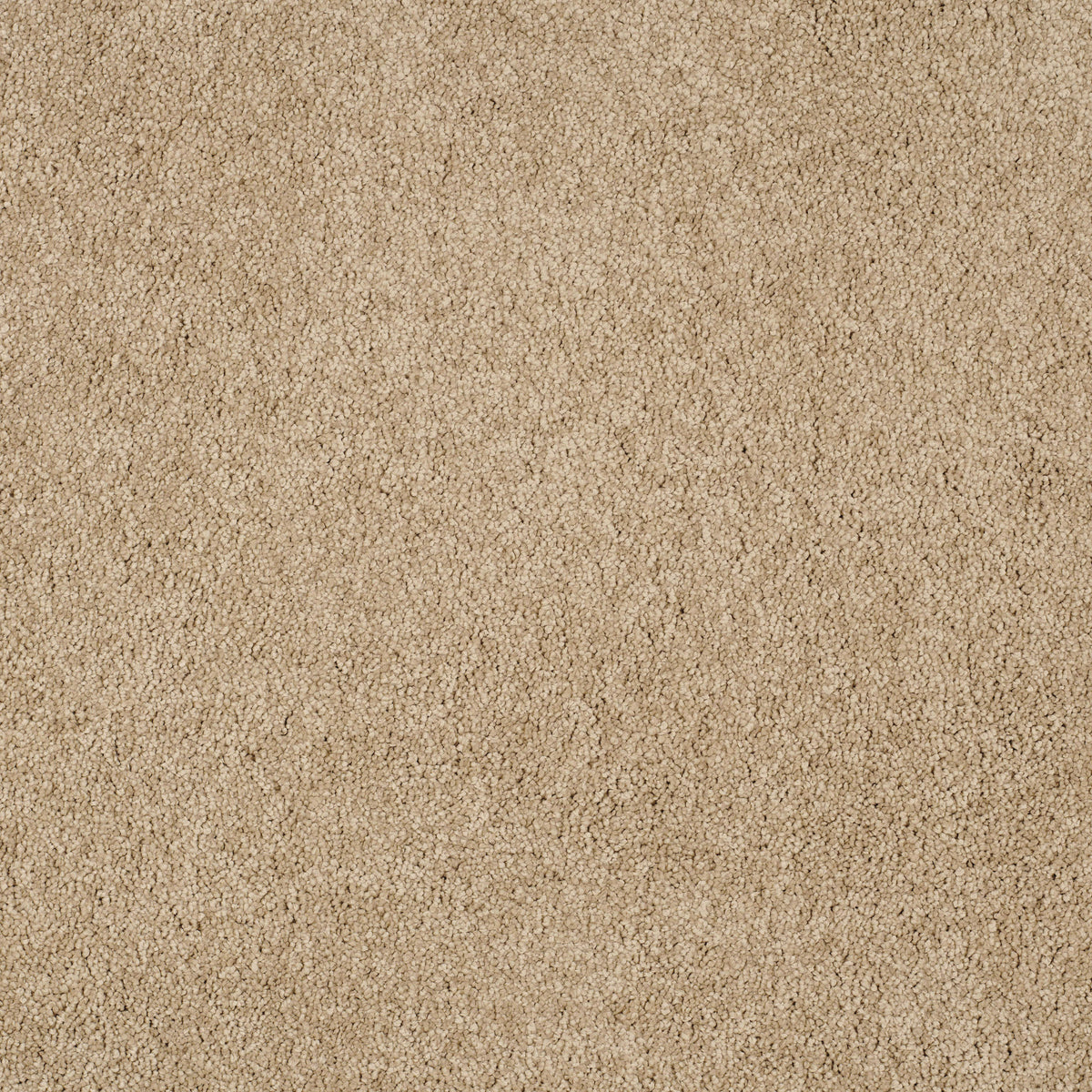 MAGICAL FEELING (4m,5m) carpet - 660 Muffin Delight