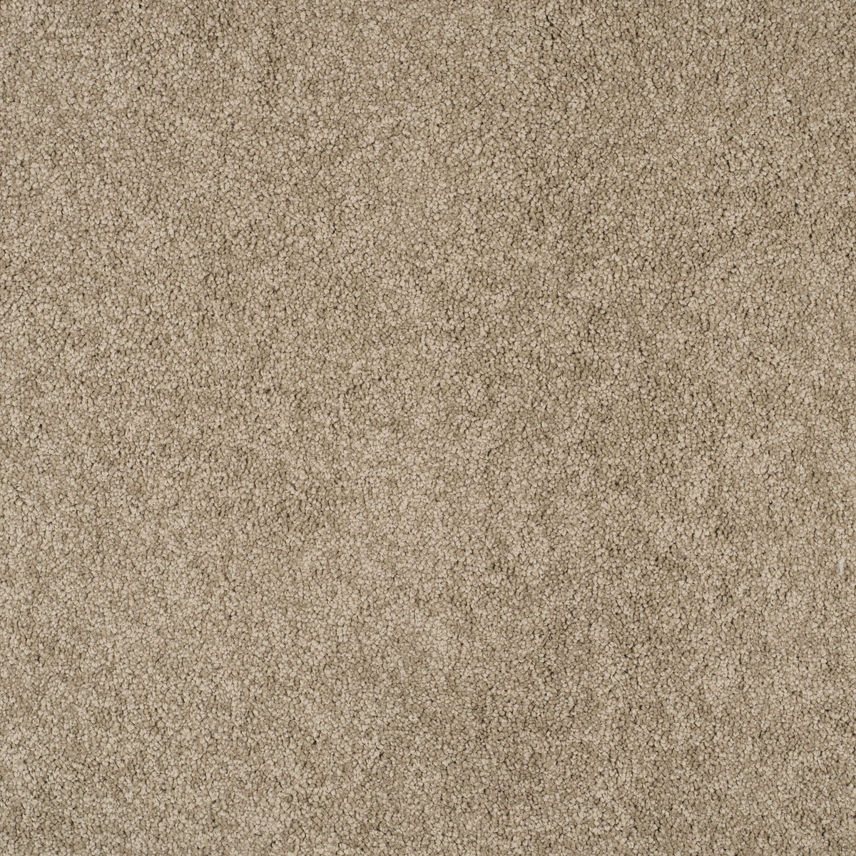 MAGICAL FEELING (4m,5m) carpet - 680 Furry Beige