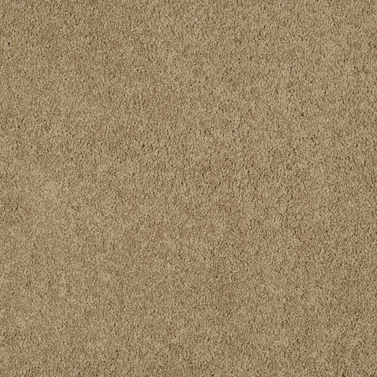 MAGICAL FEELING (4m,5m) carpet - 780 Camel Coat