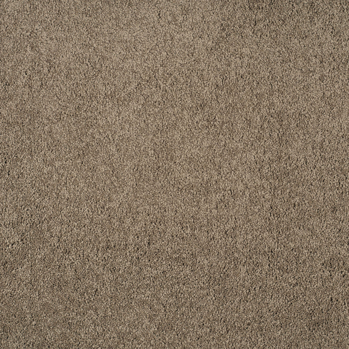 MAGICAL FEELING (4m,5m) carpet - 800 Warm Mocca