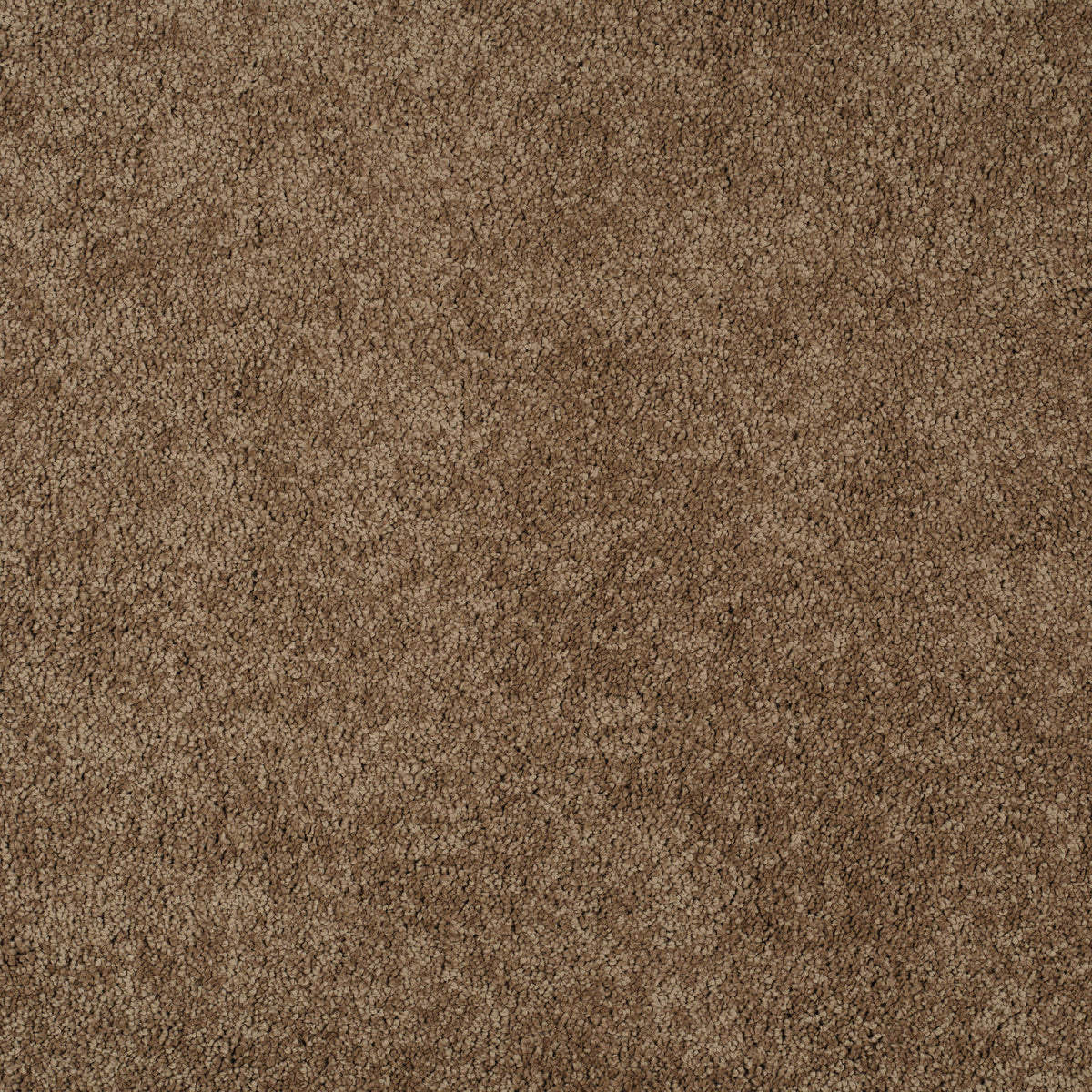 MAGICAL FEELING (4m,5m) carpet - 820 Jute Brown