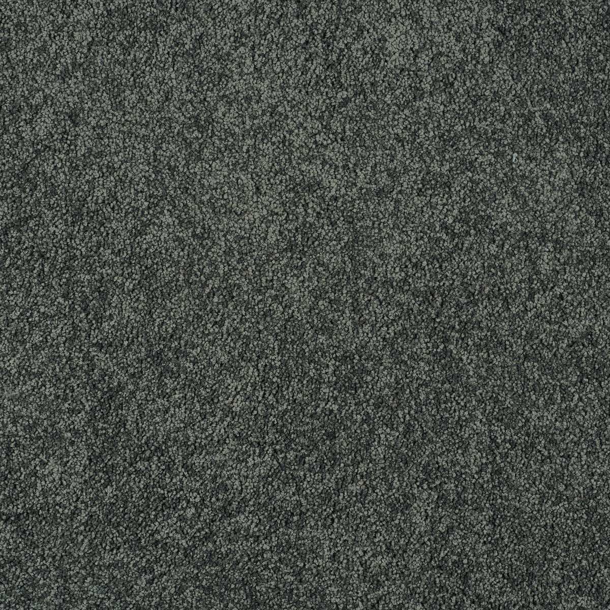 MAGICAL FEELING (4m,5m) carpet - 980 Shadowland