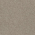 Babylon TORTILLA 5m carpet
