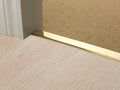Polished brass transition strip between light wood and beige carpet flooring, designed for seamless room transitions.