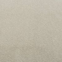 Hyatt Elite Carpet - Premium 100% Recycled Nylon
