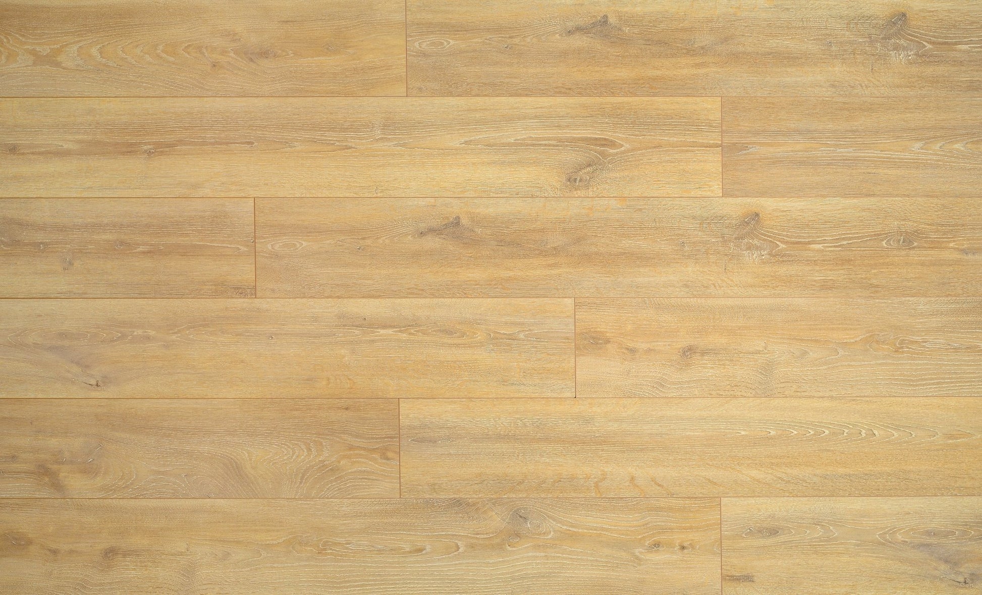 Evolution Aquastop 14mm - Arra Flooring