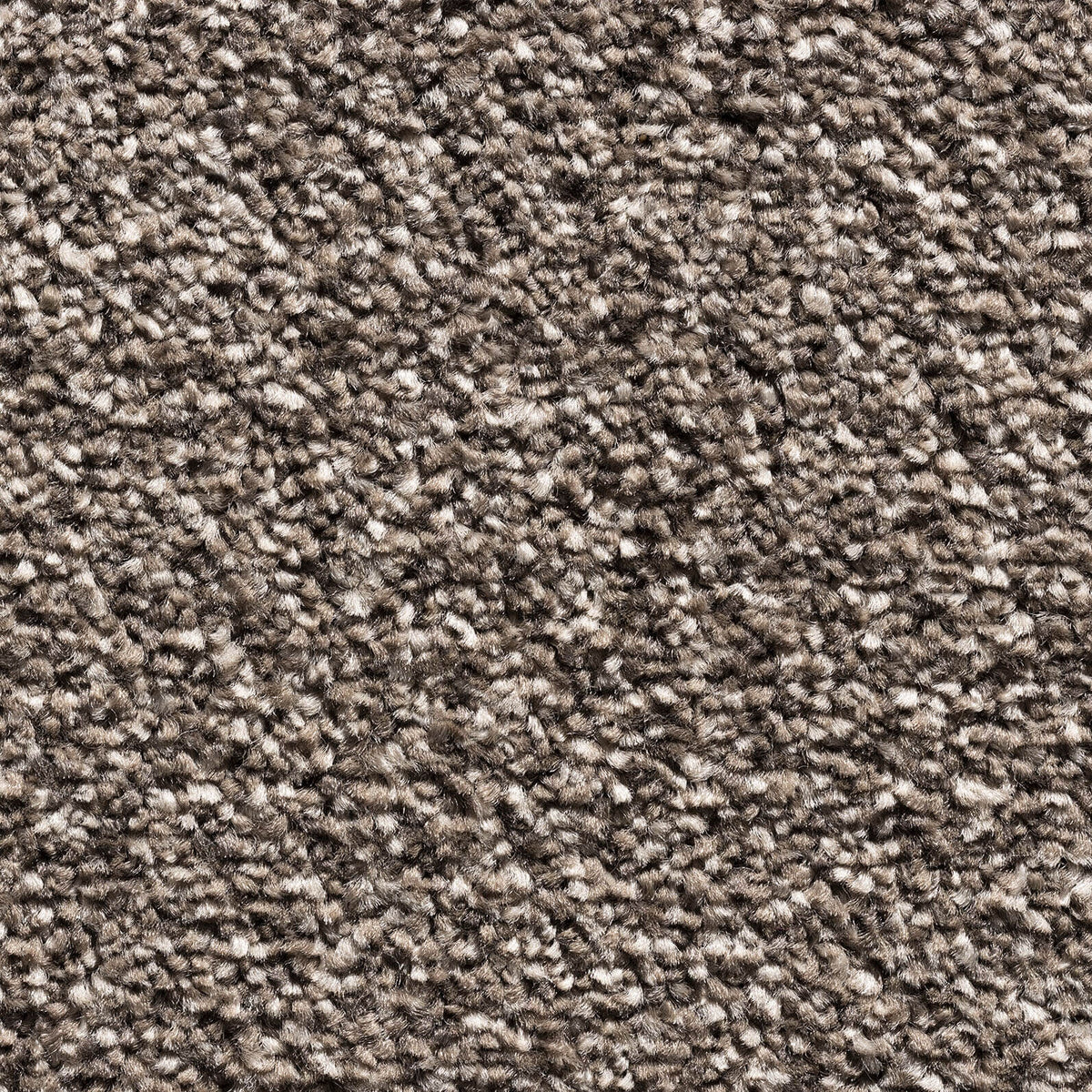 NATURAL DIMENSIONS 4M & 5M – COMBI carpet - 94 Truffle
