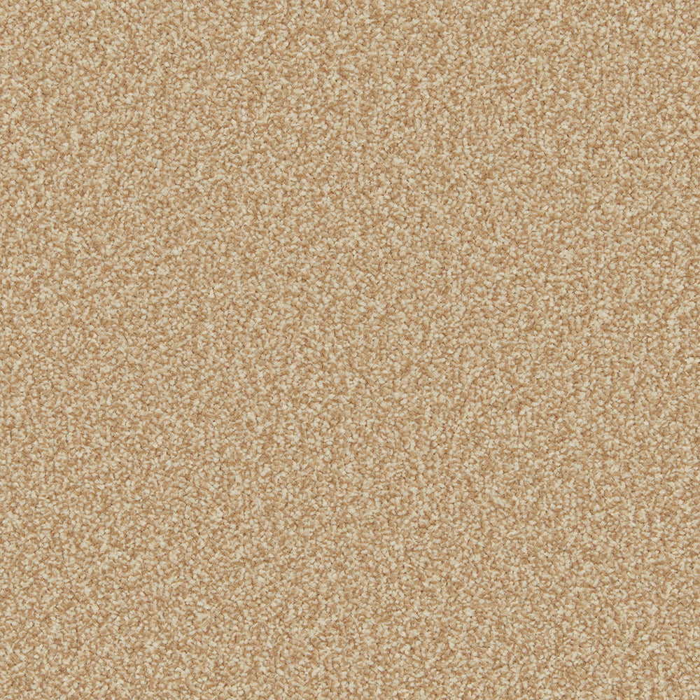Cormar Primo Ultra Foxton Flax carpet colour