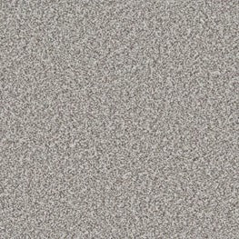 Winter Moon - Arra Flooring