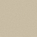 Cormar Zenith Caribou carpet colour