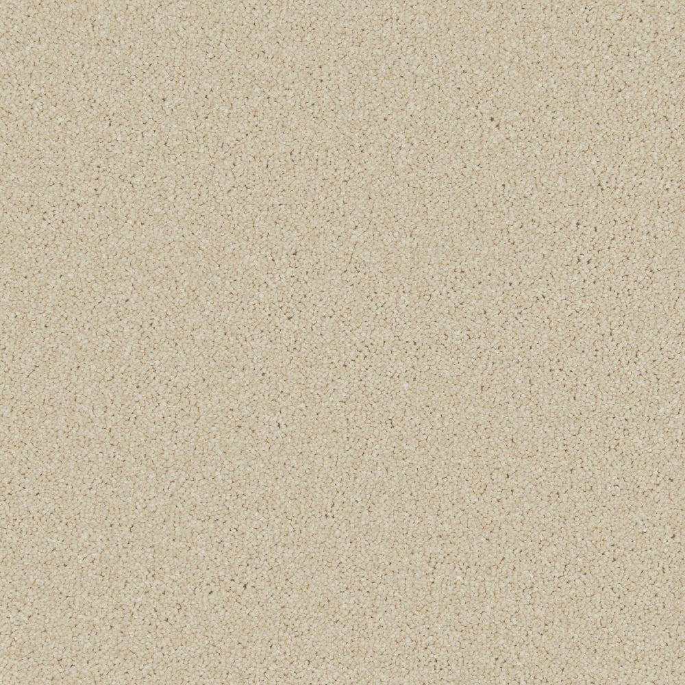 Cormar Zenith Caribou carpet colour
