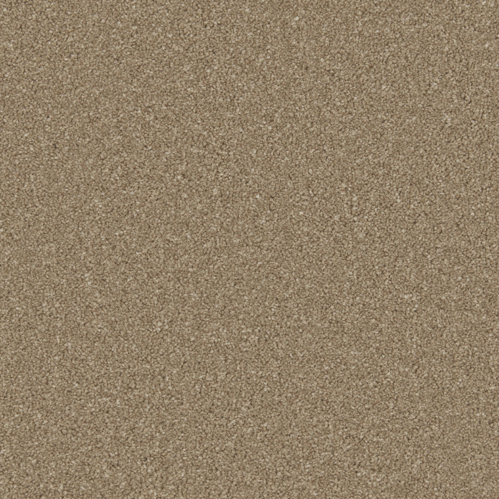 Cormar Zenith Dark Taupe carpet colour