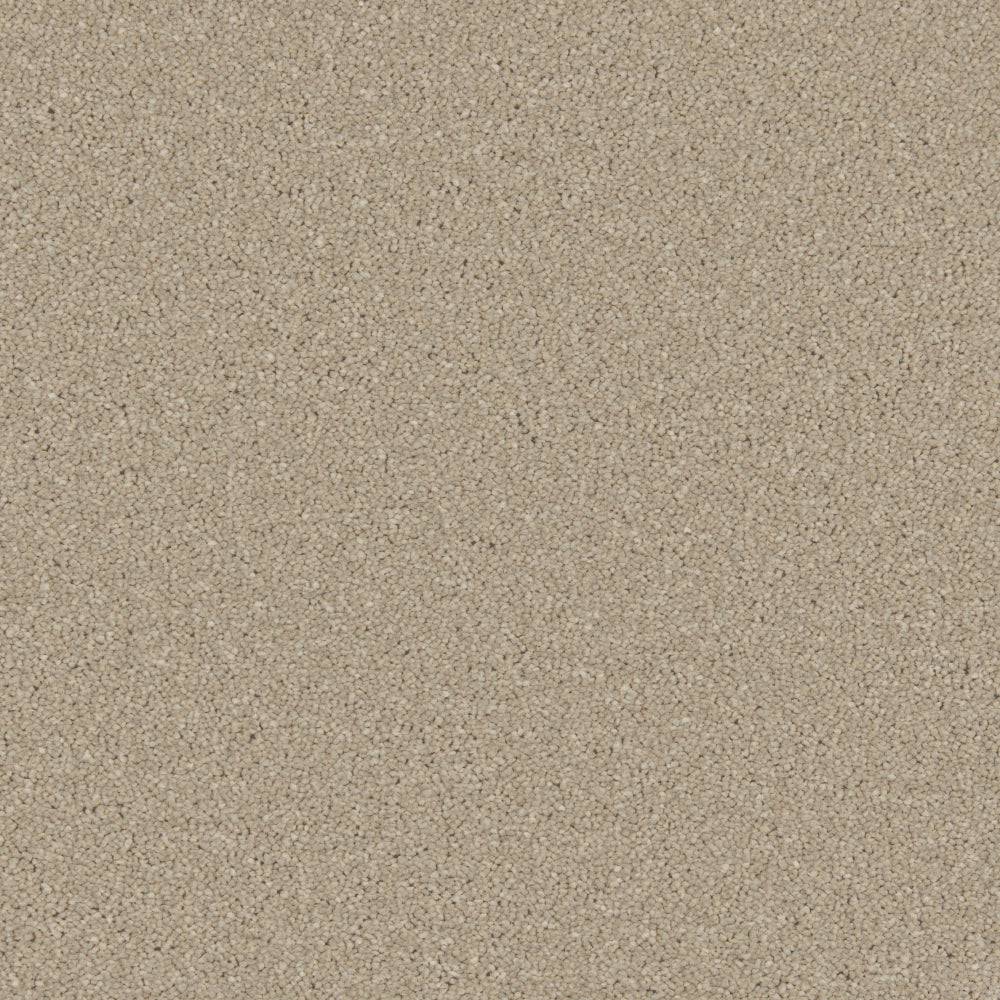 Cormar Zenith Dove Feather carpet colour