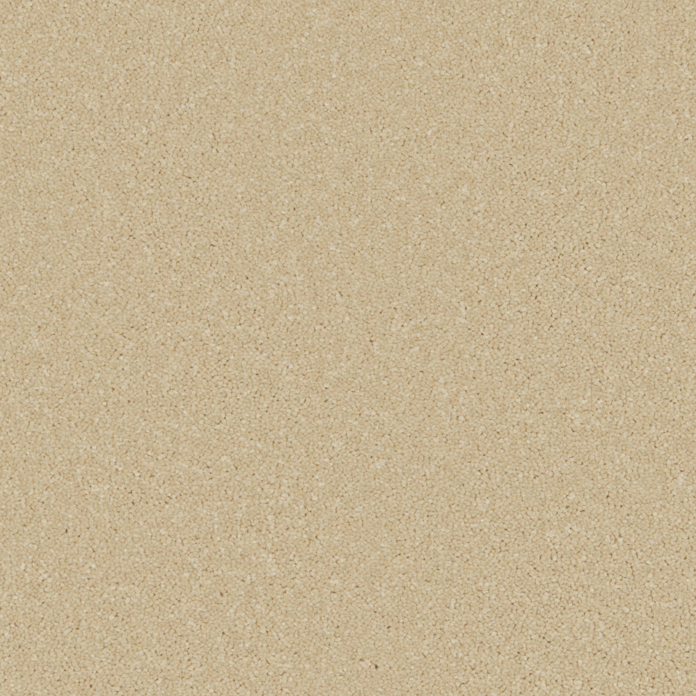 Cormar Zenith Palomino Gold carpet colour
