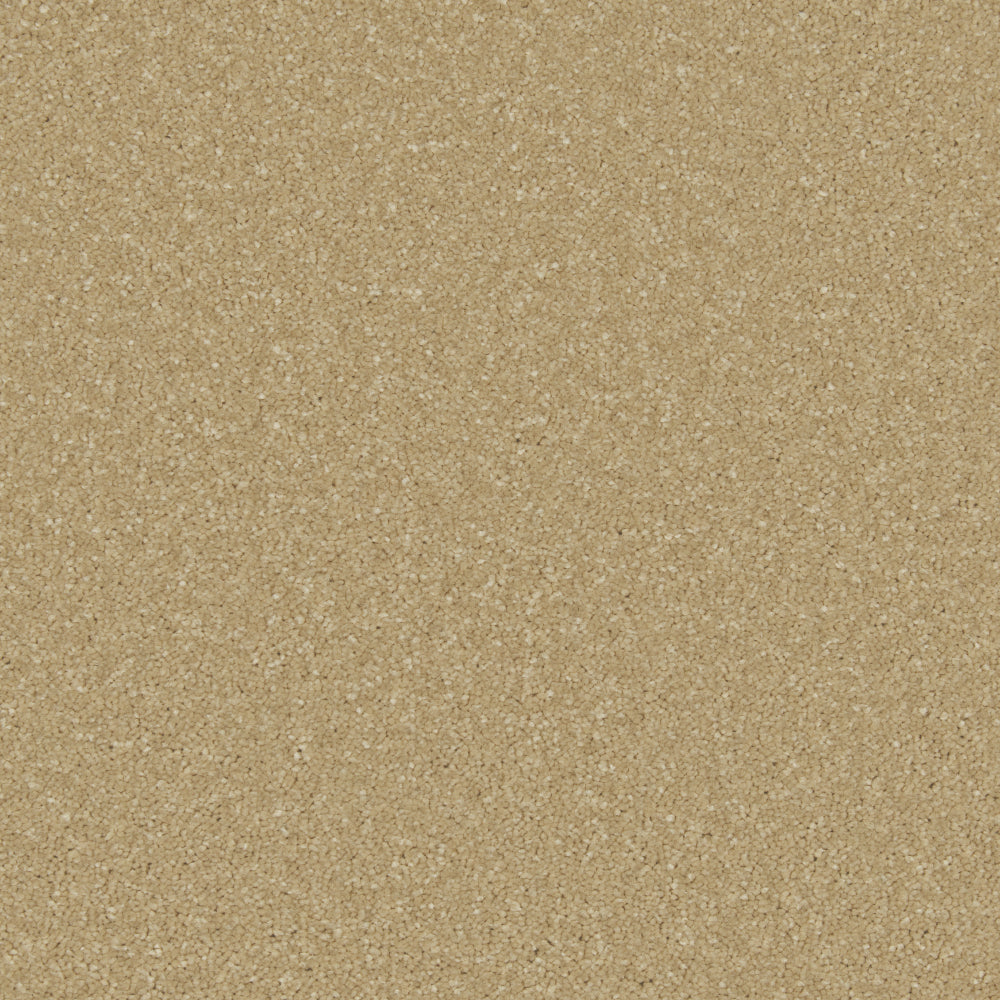 Cormar Zenith Sandy Bay carpet colour